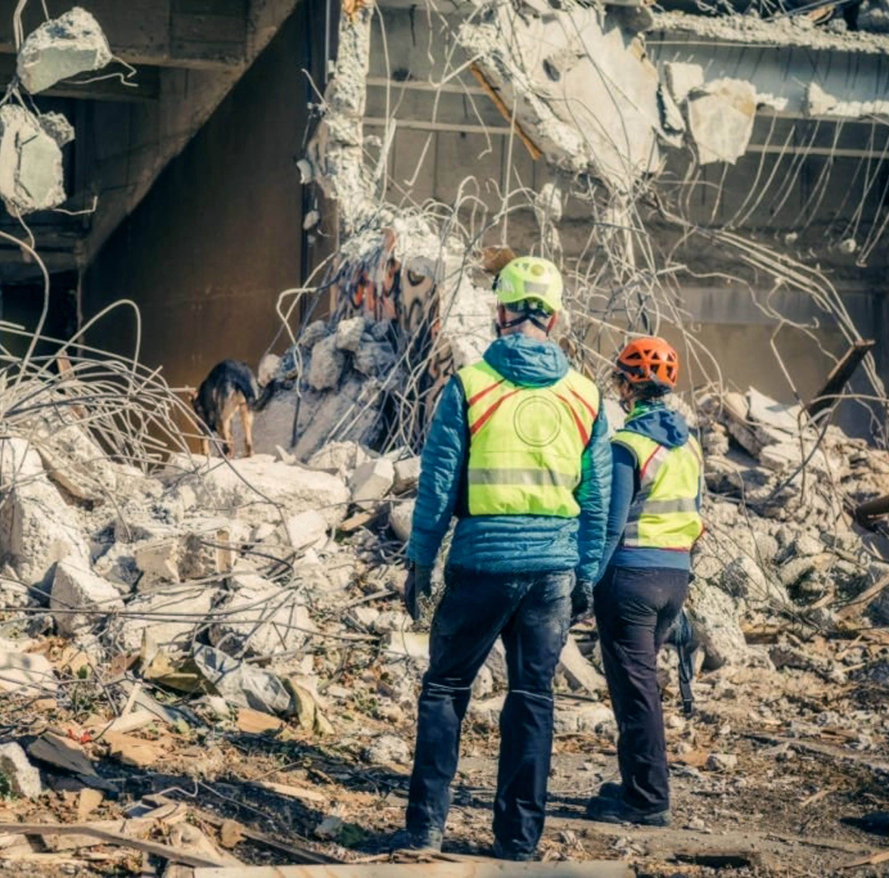 Humanitarian & NGO Sector